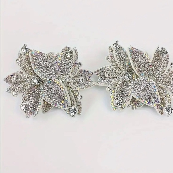 Shoe Clips - Picture 2 of 2